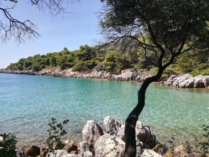 Apartments Nada Mundanije エクステリア 写真
